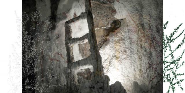 plantsstalactite-stalagmite-ladderpink5599.jpg