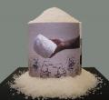 2008salt_mound copy.jpg