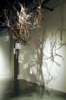 money tree prophecies