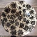 sea urchins_ bowl_ 2020_ 33 cm diameter.jpg